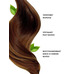 Tone Golden Chestnut cream henna for hair Indian ready-made