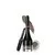 Подводка для бровей COLOR BROW тон 2 тауповый от Belor Design