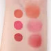 Blush liquid Pro All-in-One Liquid Blush 02 Pink by Relouis